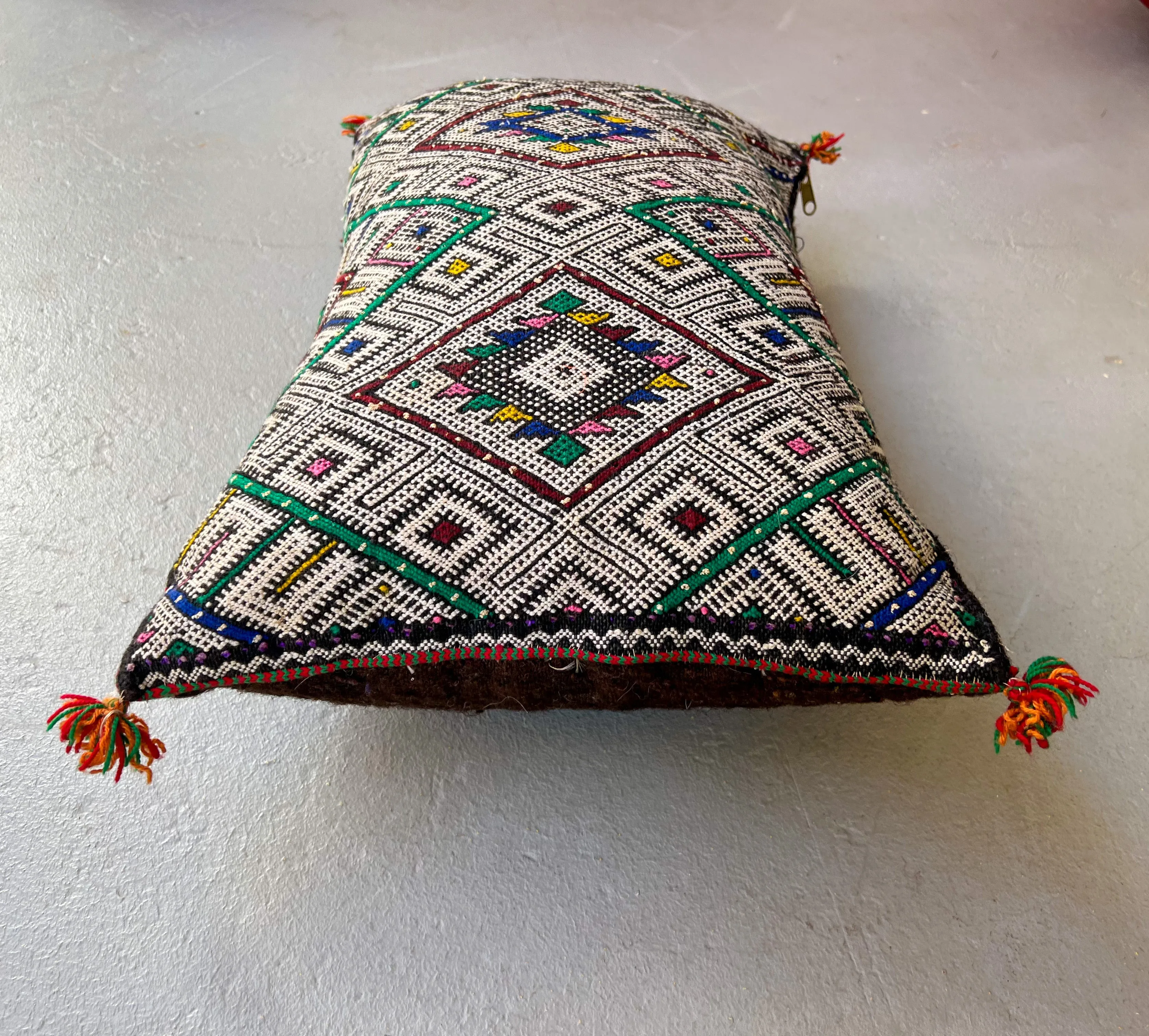 Ain Leuh Pillow - Dual Lion Paws