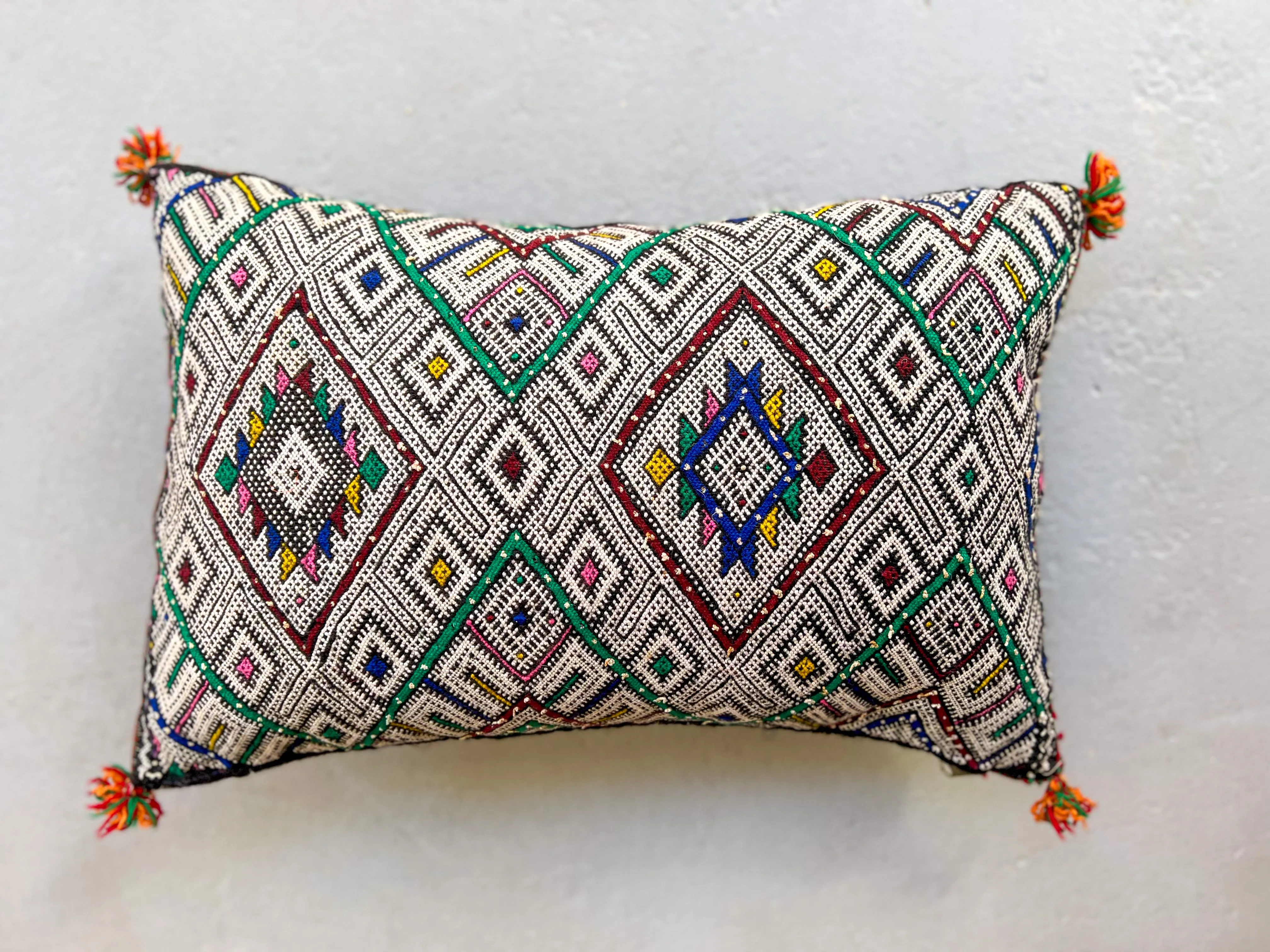 Ain Leuh Pillow - Dual Lion Paws