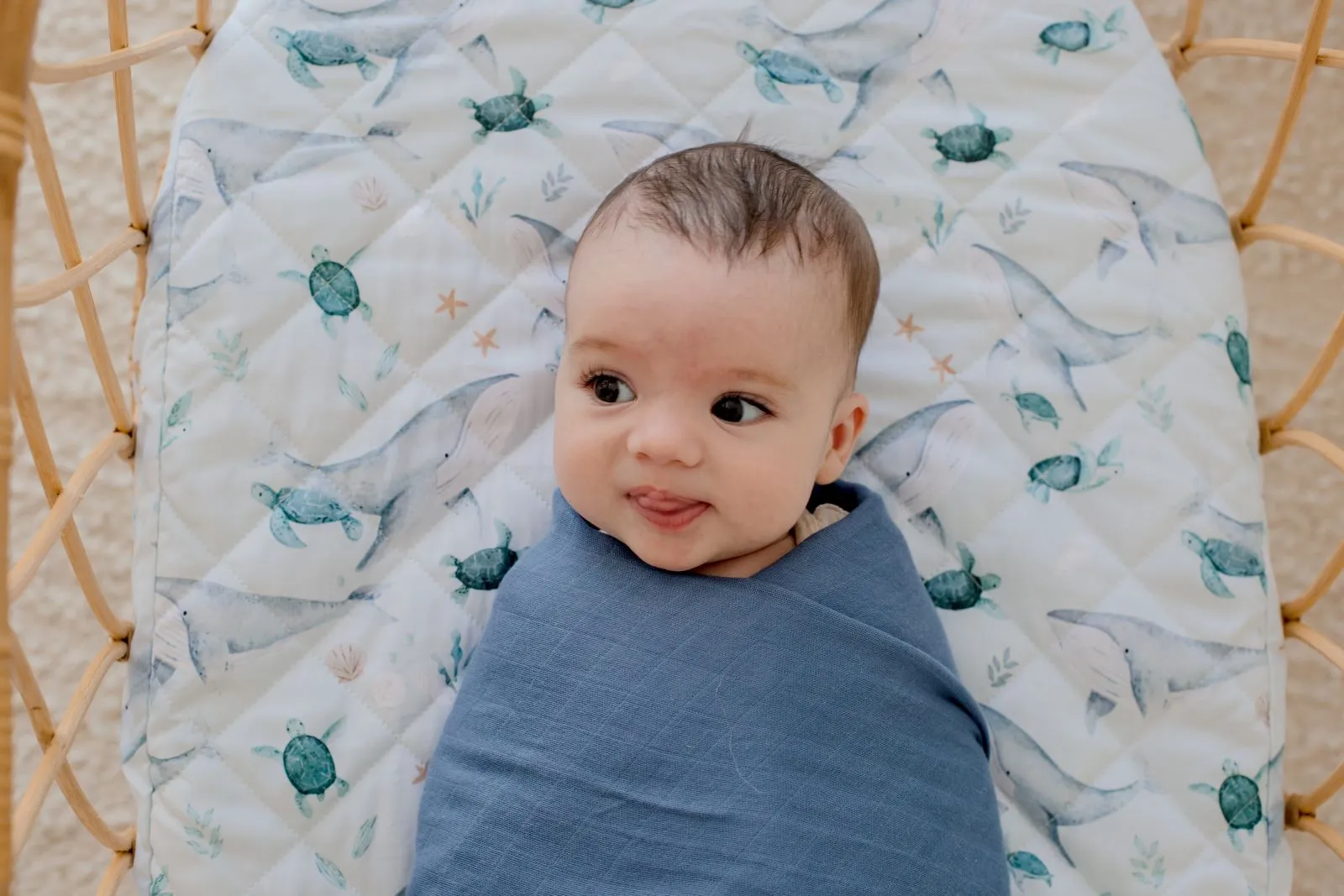 Bambella Waterproof Bassinet Sheet | Turtle Bay