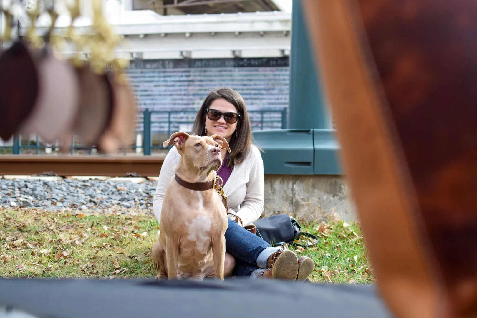 Beltline Leash - Brown