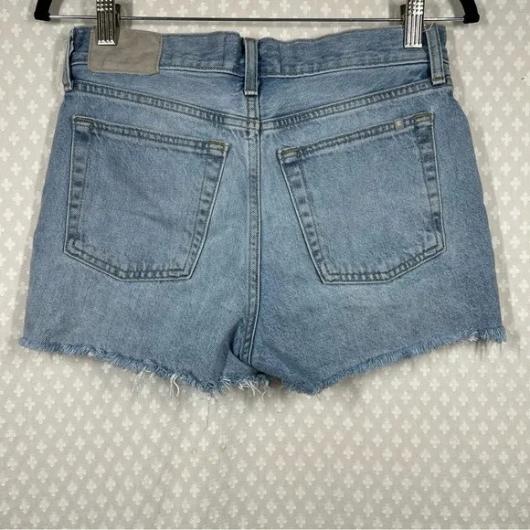 Everlane Light Wash Relaxed 90s High Rise Shorts