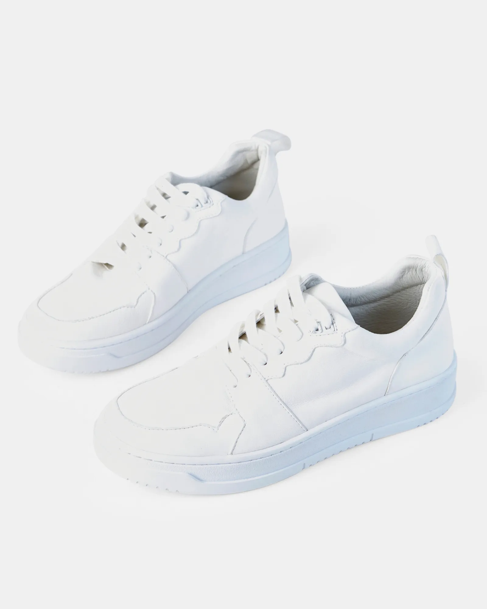 Gio Sneaker - White