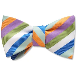 Orchard Run - Dog Bow Ties