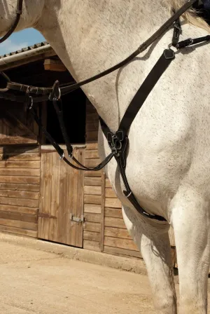 Rhinegold V Check Elasticated Breastplate