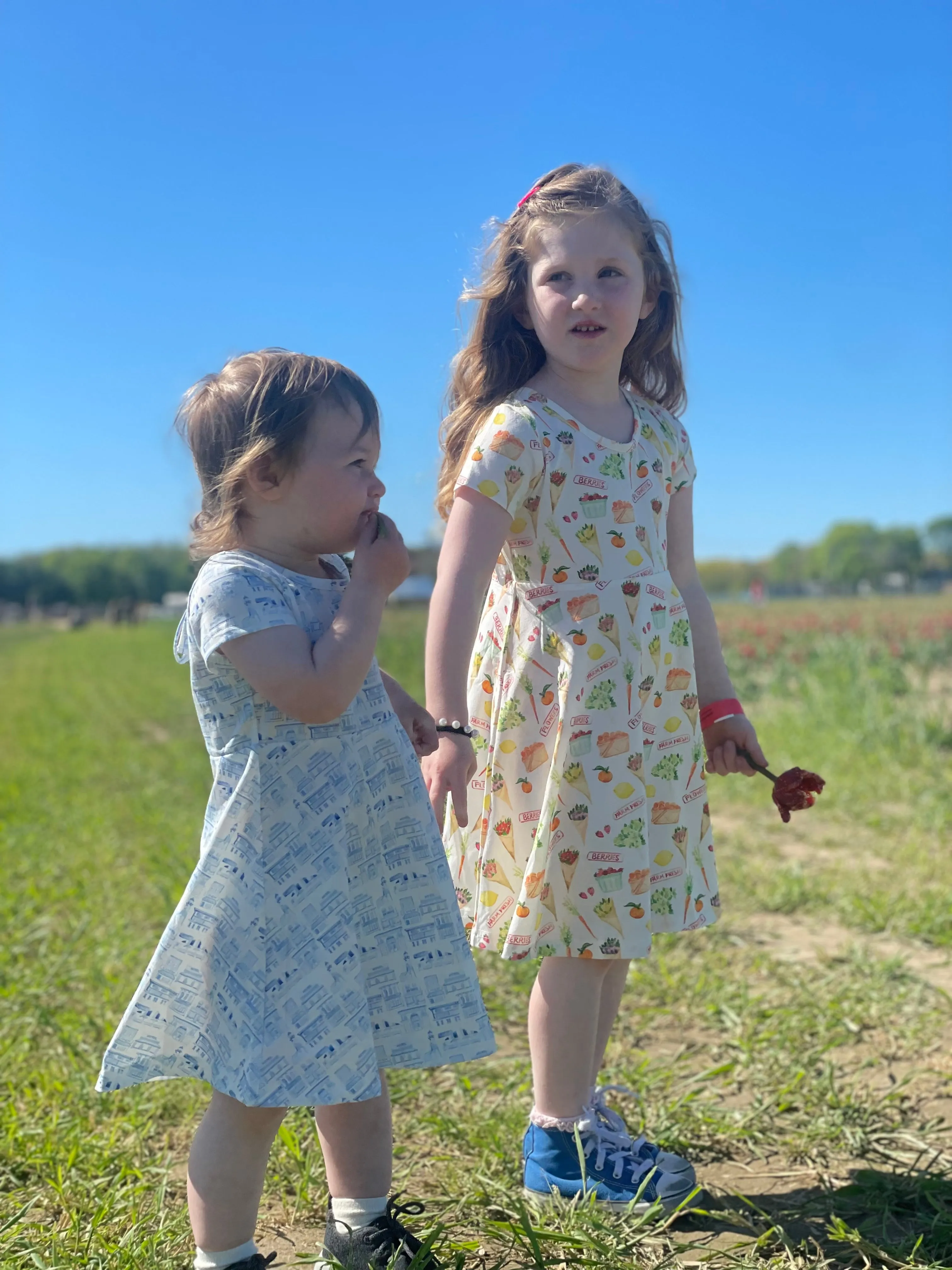 Short Sleeve Toddler Dress