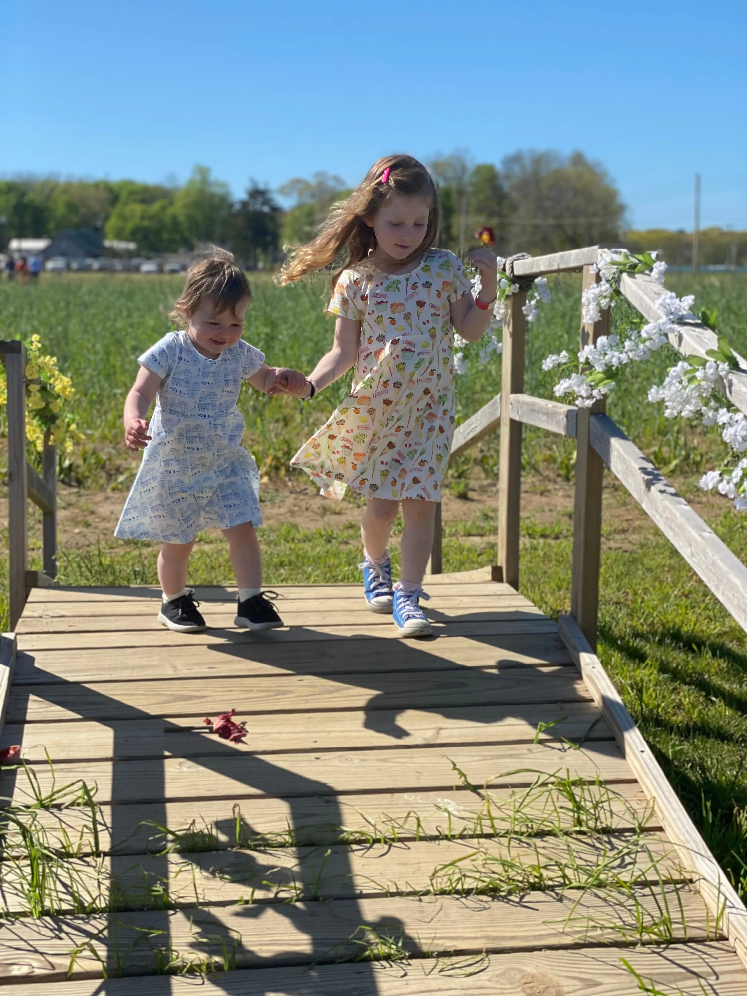 Short Sleeve Toddler Dress