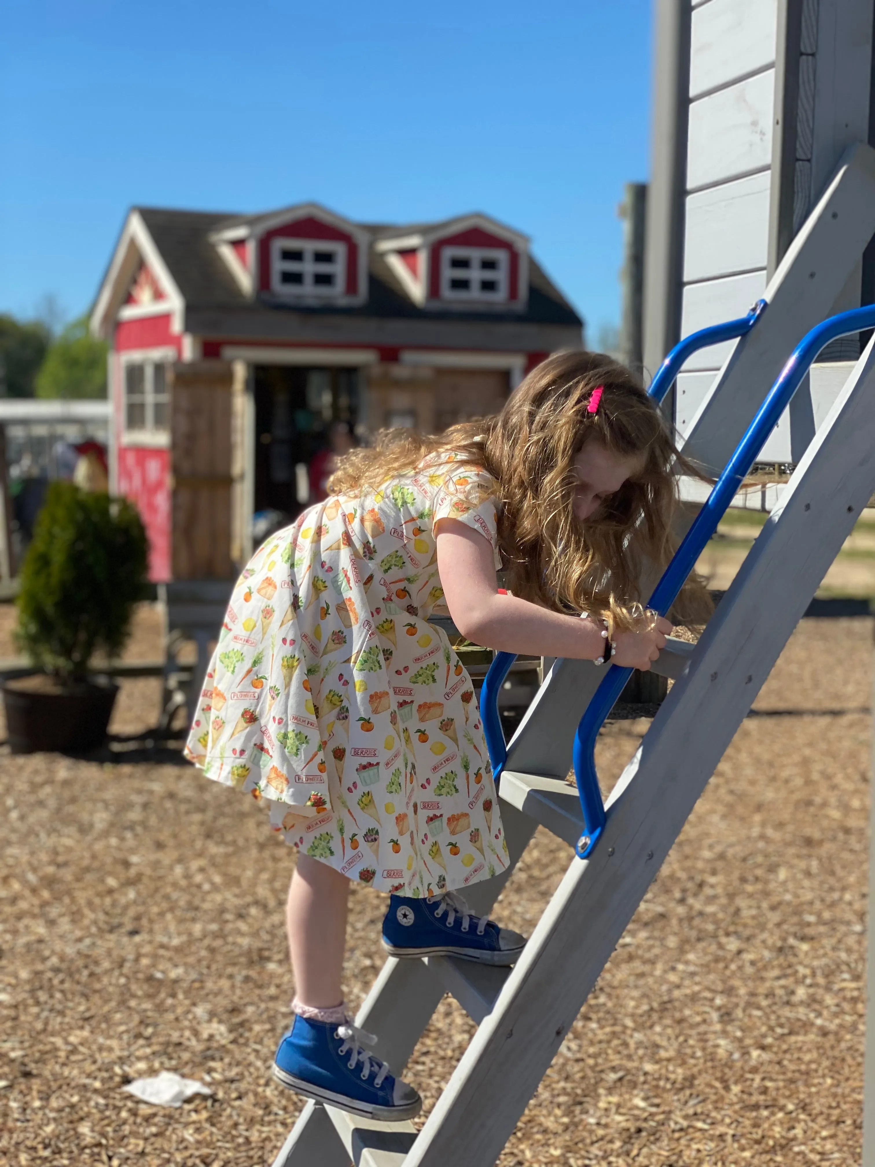 Short Sleeve Toddler Dress