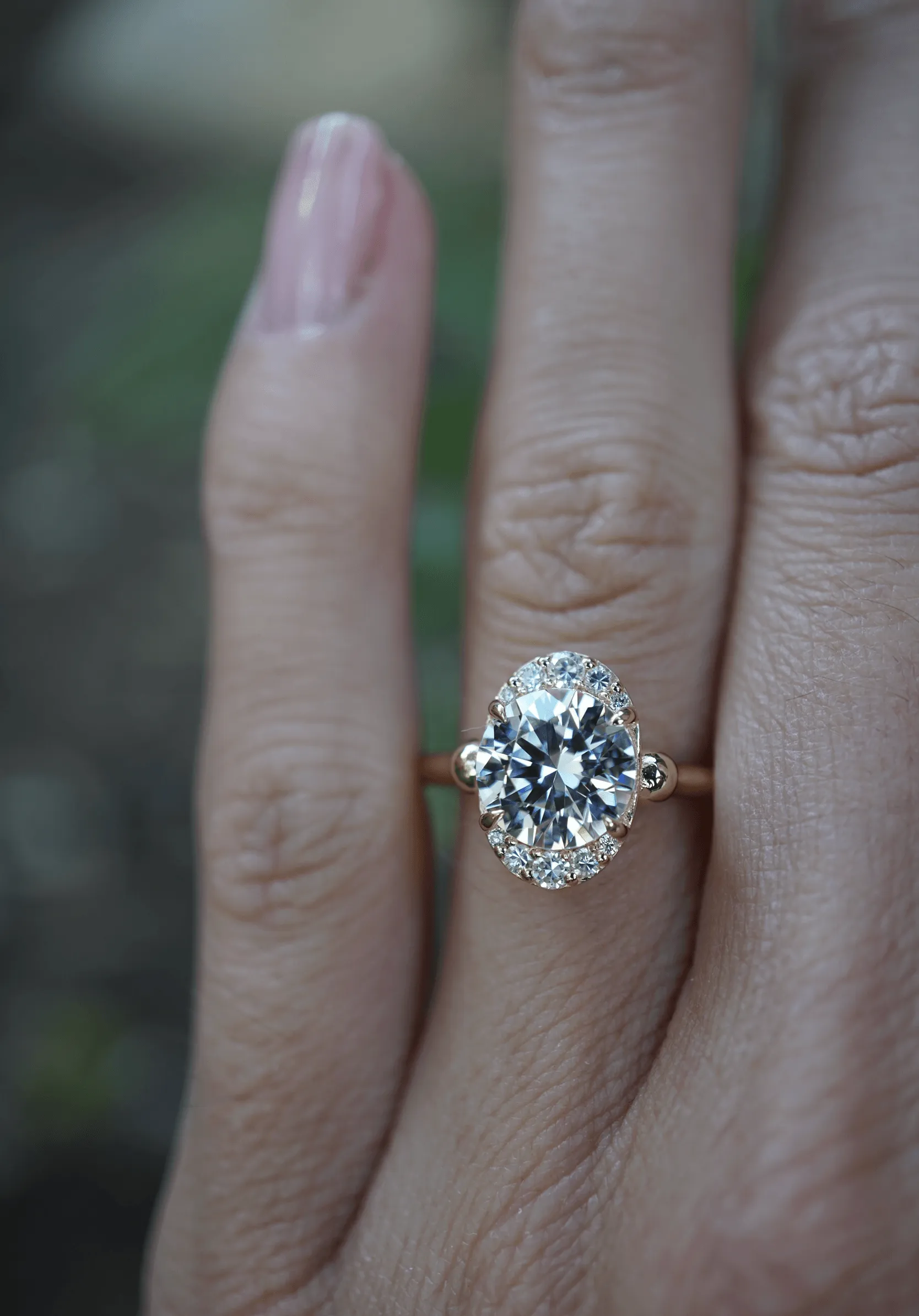 The Zirna | Proposals
