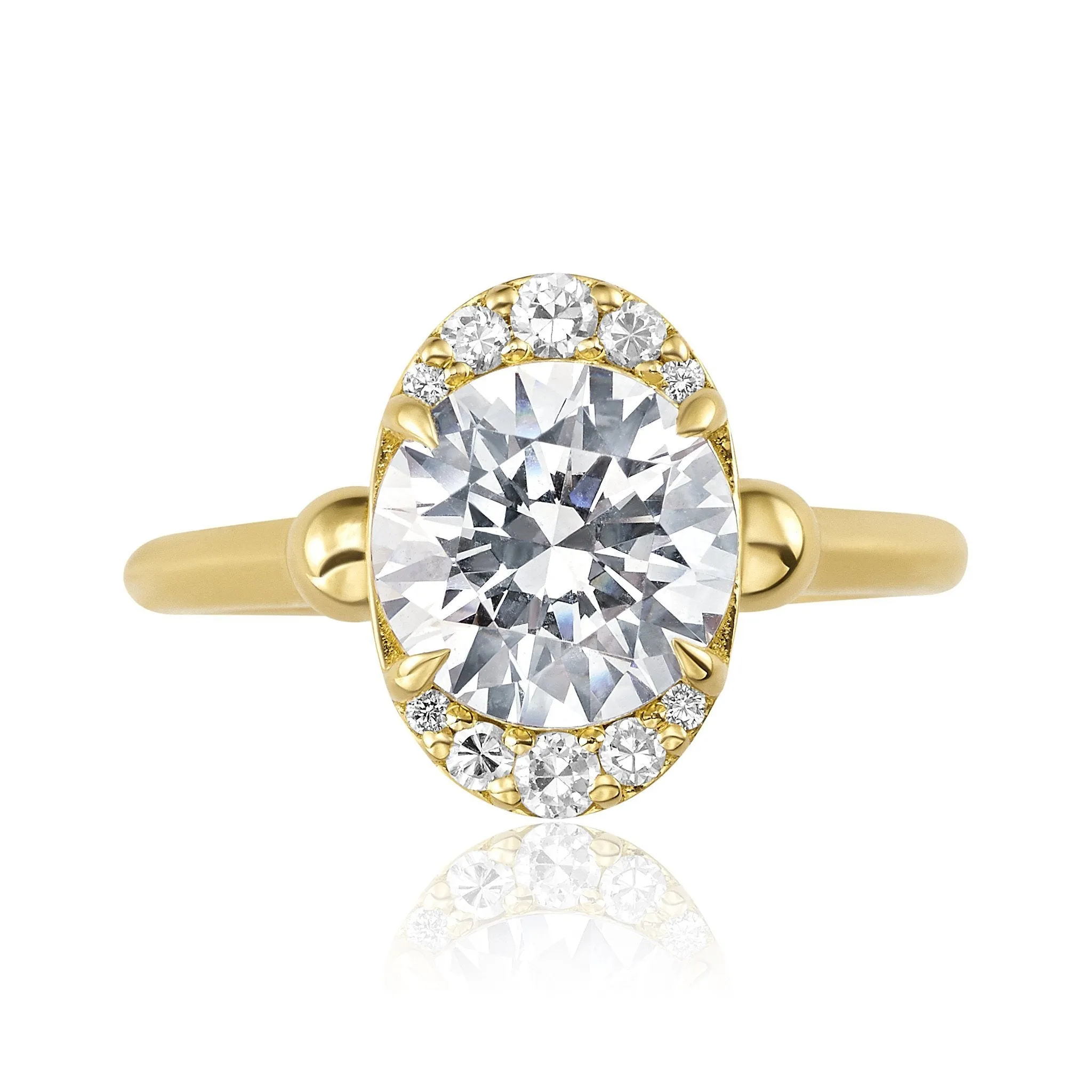 The Zirna | Proposals