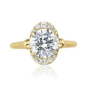 The Zirna | Proposals