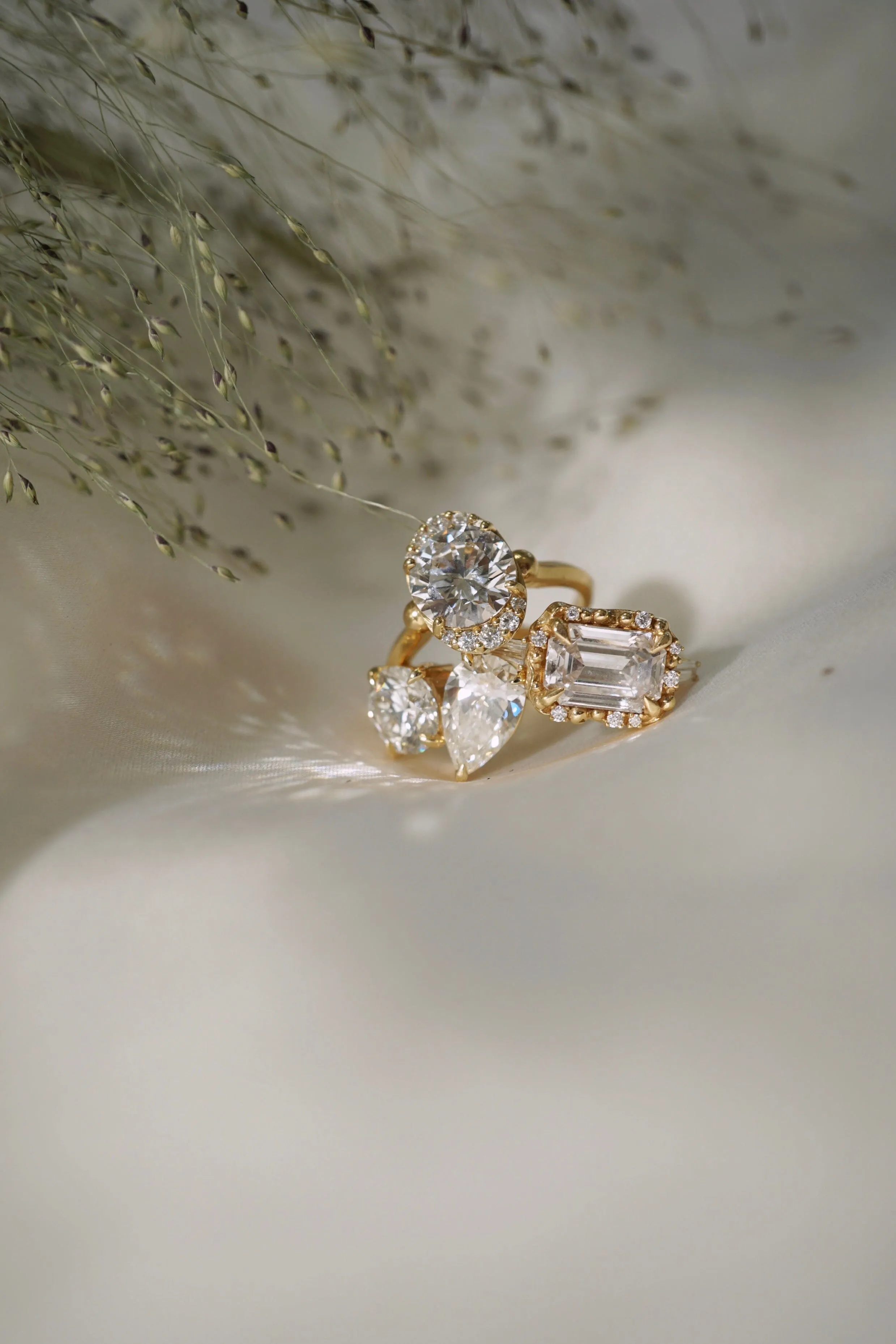 The Zirna | Proposals