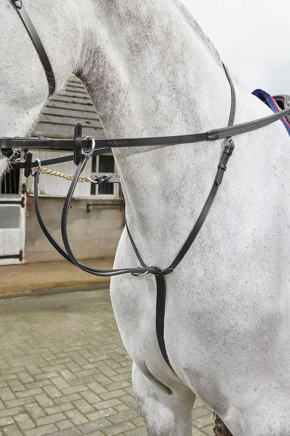 Whitaker Lynton Running Martingale